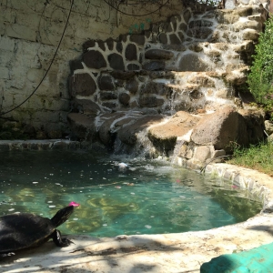  - jaguar,nuestras instalaciones