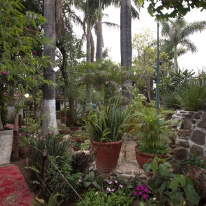  - drogadicci&oacute;n, vive en armonia