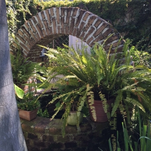  - drogadicci&oacute;n,mexico