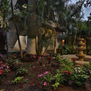  - zapopan, salud mental