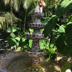  - m&eacute;xico,jalisco