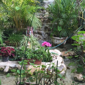  - alcoholismo, jalisco