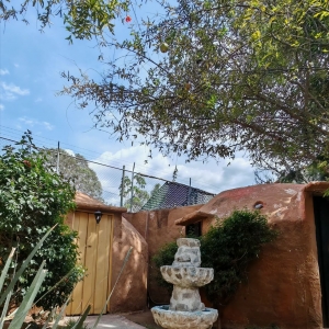  - jalisco, salud emocional