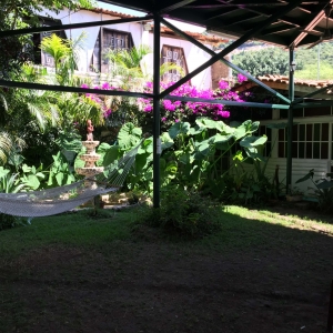  - grupos de apoyo, ayuda contra adicciones