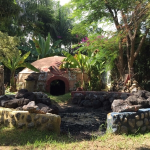  - zapopan, vivir libremente