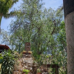  - terapia,tlajomulco