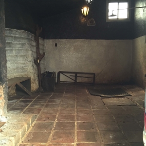  - grupos de apoyo, bulimia