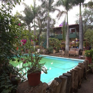  - alcoholismo,zapopan