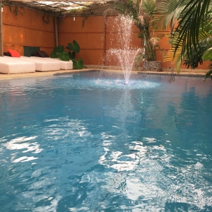  - salud emocional,mexico