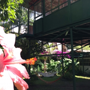  - combatir conductas autodestructivas, salud mental