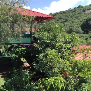  - tlajomulco, terapia