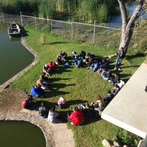  - alcoholismo,tlajomulco