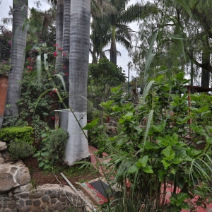  - vivir libremente, drogadicci&oacute;n