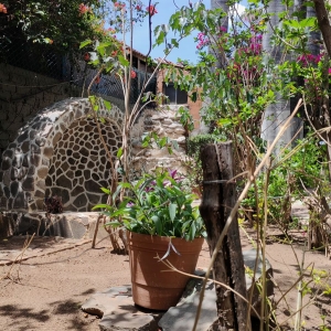  - anorexia, combatir conductas autodestructivas