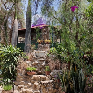  - zapopan, salud emocional